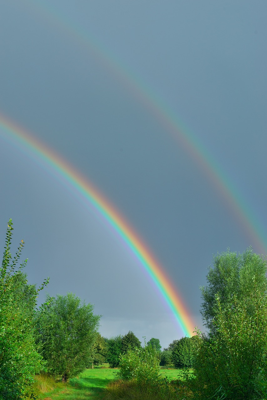 Rainbow in a wooded area